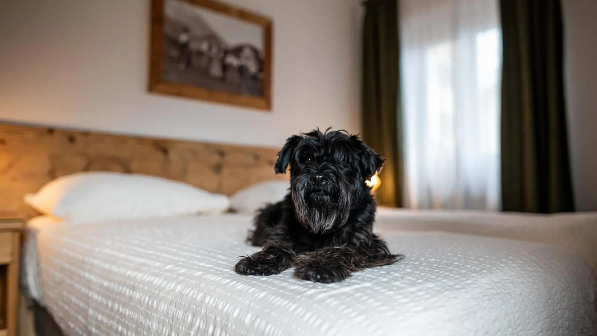 Hotel Panda Cortina- Ricarica Auto Elettriche Cortina d'Ampezzo 3*,  Italy